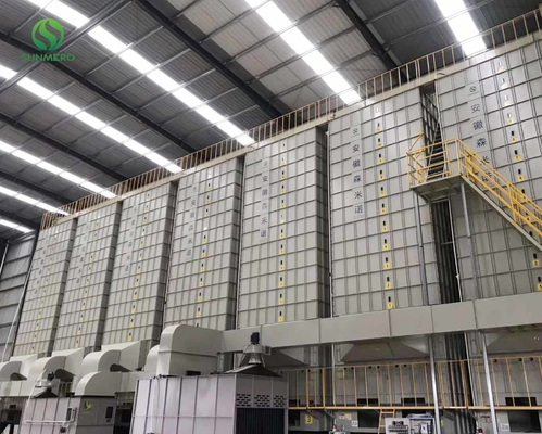 ISO18001 180tons per de Drogere Machine van de Partijkorrel voor de Rijstmolenaars van Vietnam
